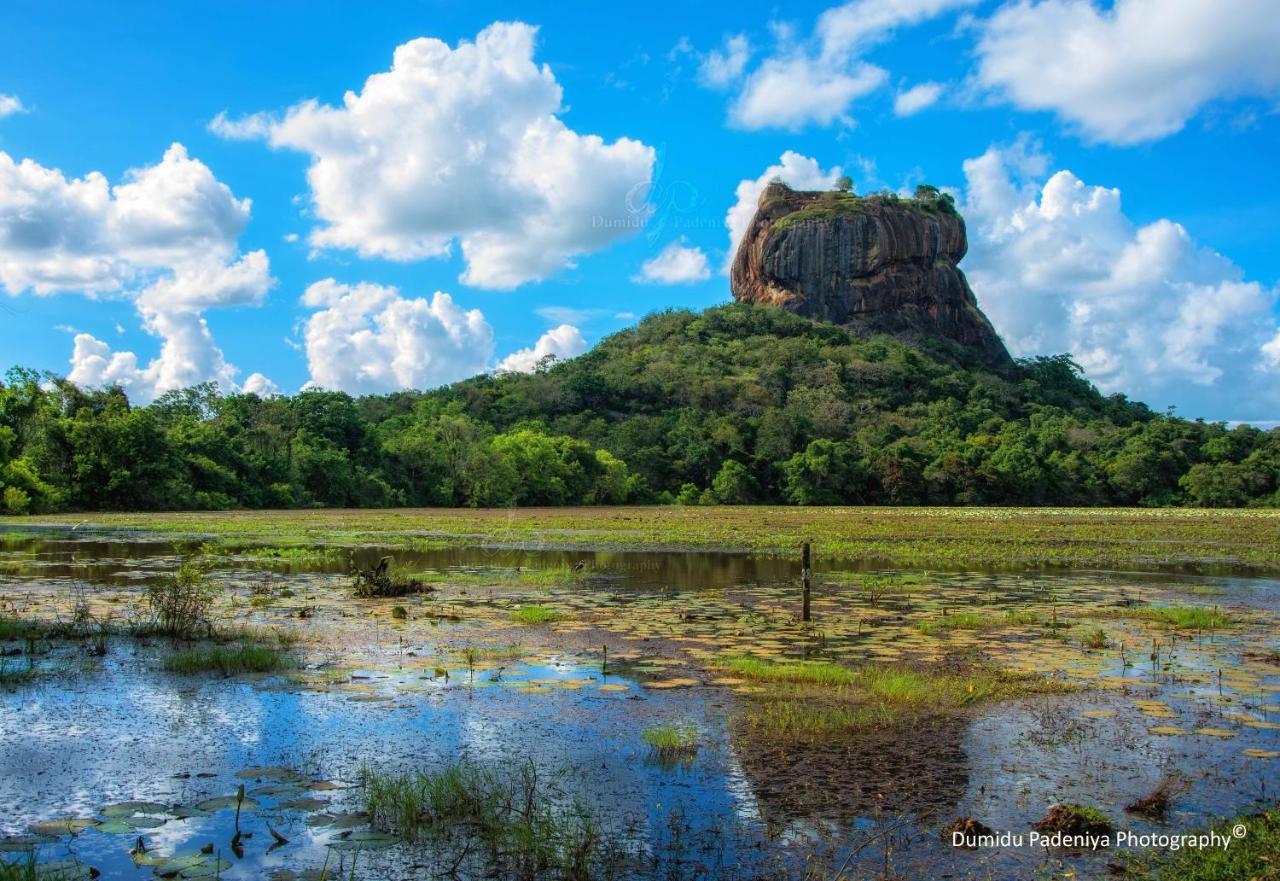 Simoya Nature Park Dambulla Eksteriør billede